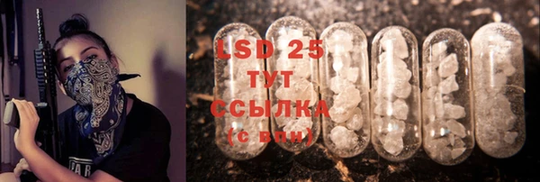 соль ск Кулебаки