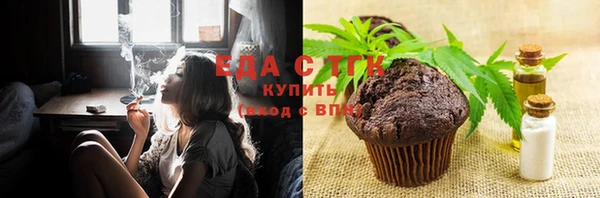 индика Краснотурьинск