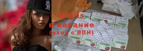 твердый Краснослободск
