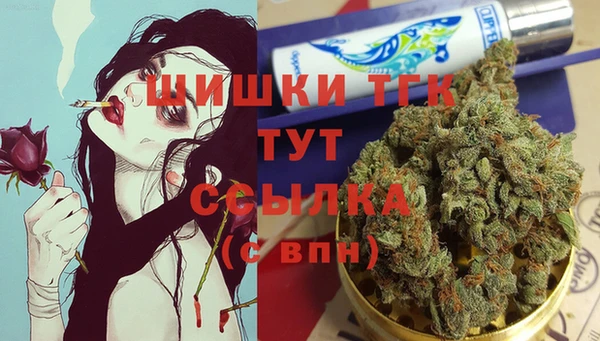 соль ск Кулебаки