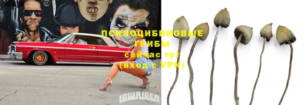 соль ск Кулебаки
