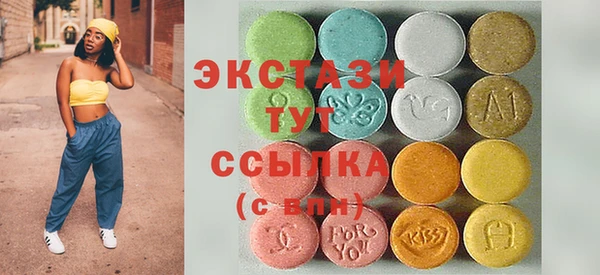 твердый Краснослободск