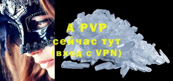 индика Краснотурьинск