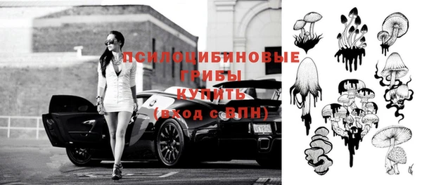 каннабис Анжеро-Судженск