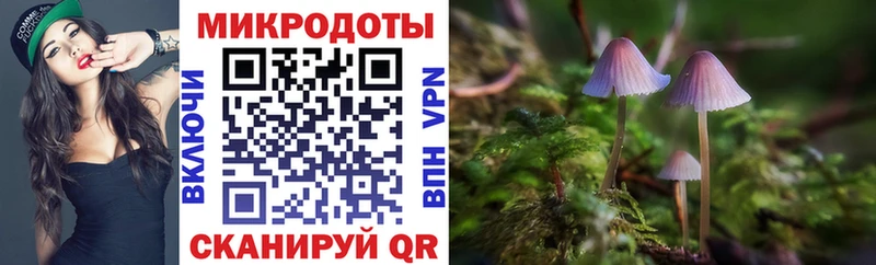 Псилоцибиновые грибы Psilocybine cubensis купить наркоту Красноуральск